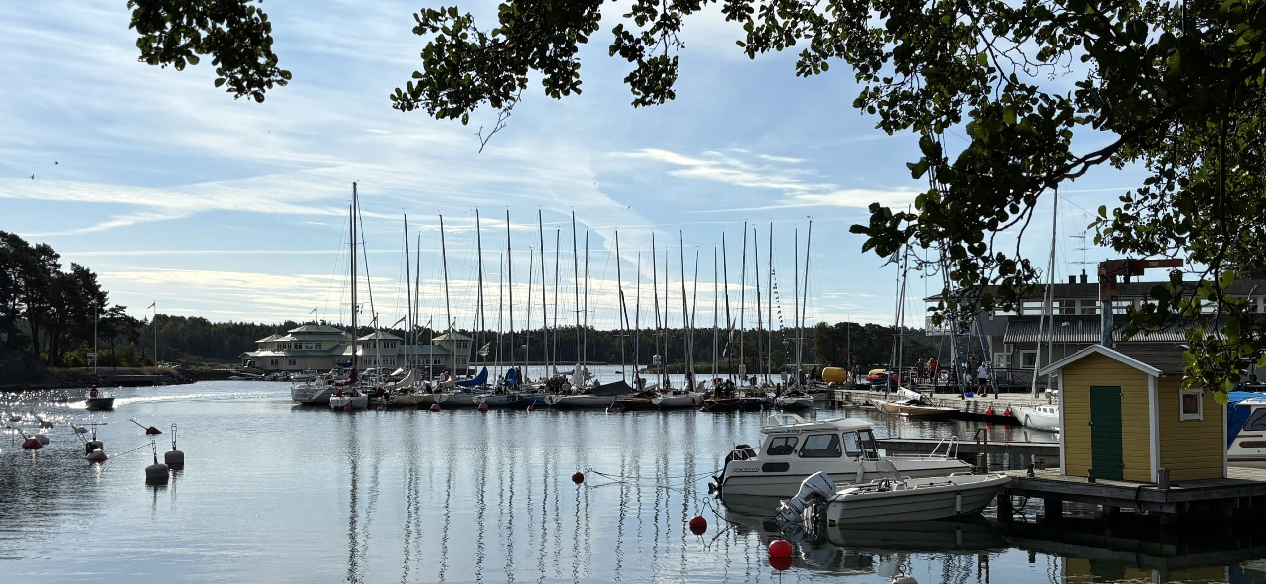 bspel_260825 (2)