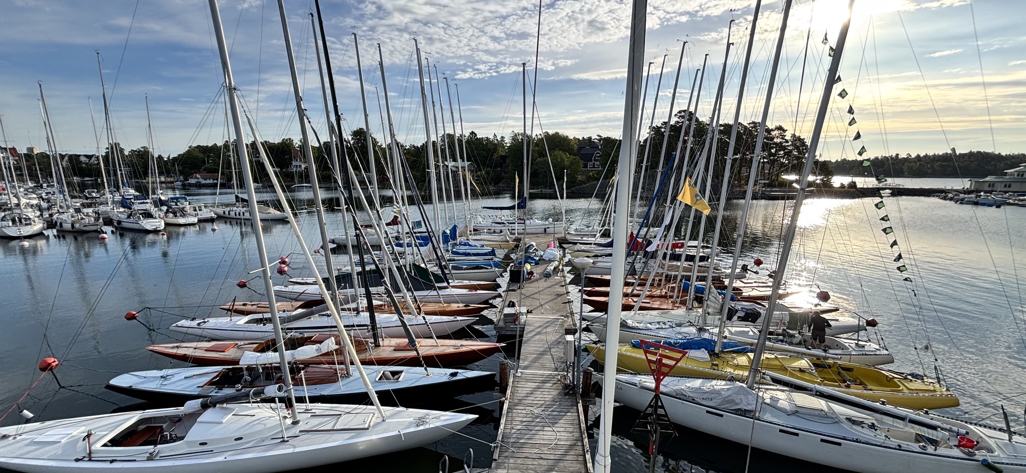 bspel_260825 (4)