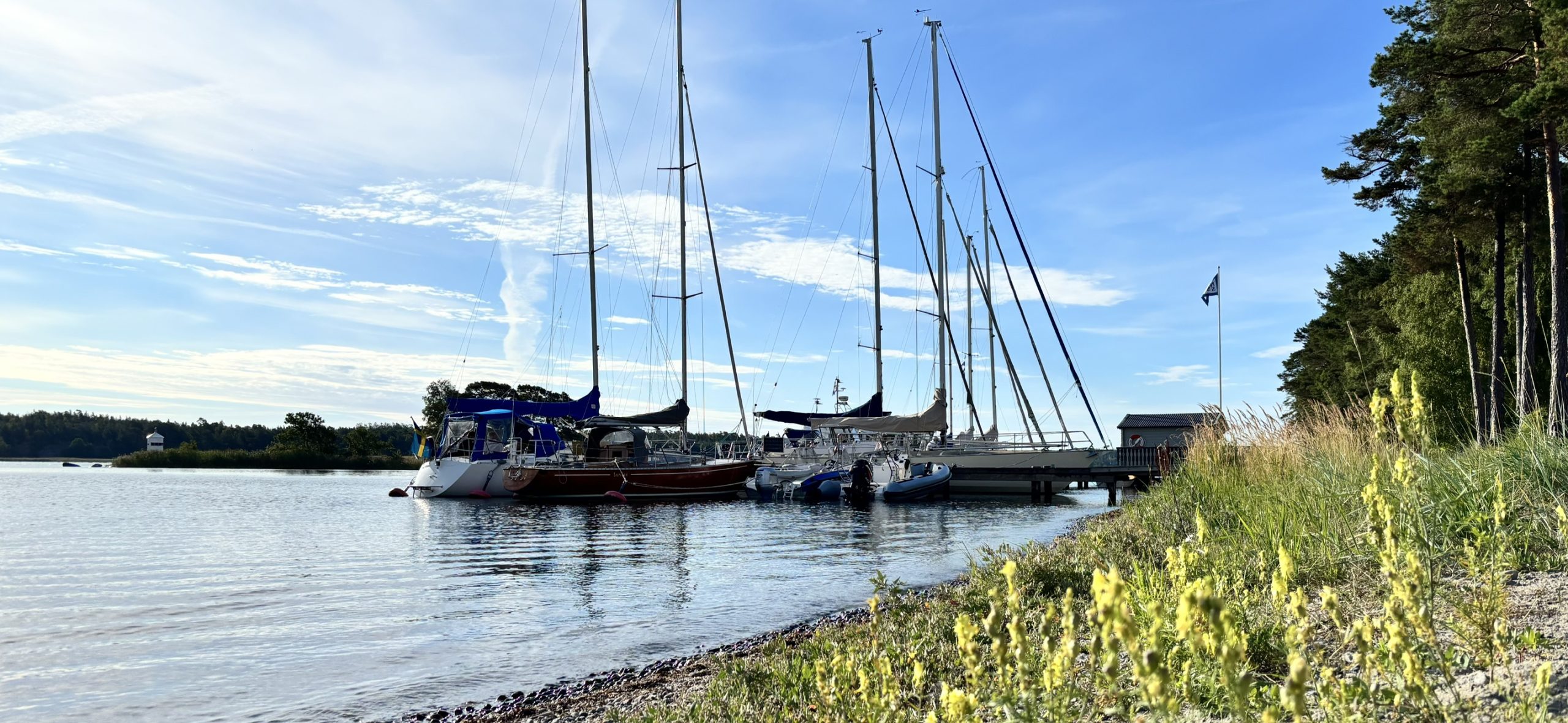 bspel_260825 (7)